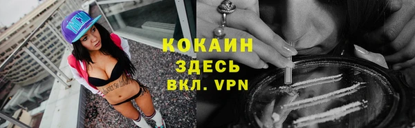 шишки Абаза