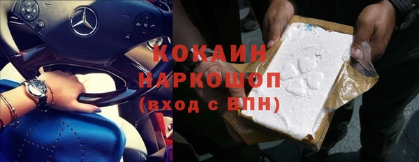 шишки Абаза