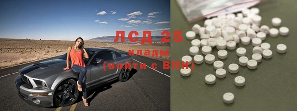 шишки Абаза