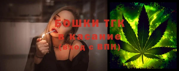 шишки Абаза