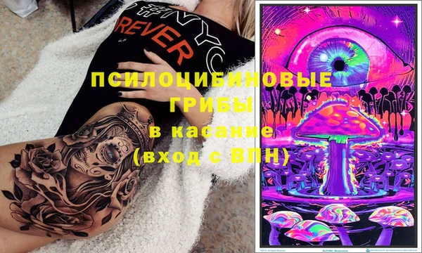 сатива Абинск