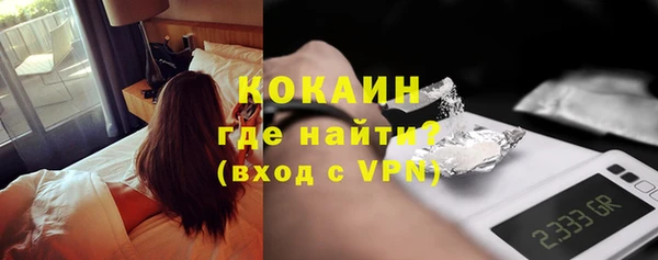шишки Абаза