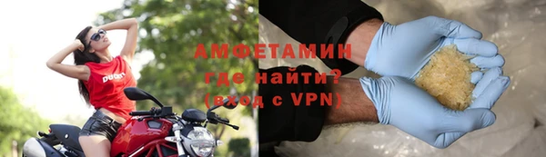 шишки Абаза