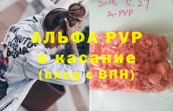 сатива Абинск