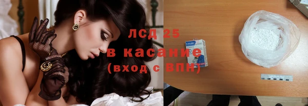 шишки Абаза