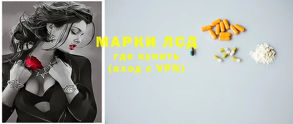 шишки Абаза