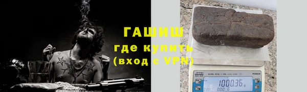 шишки Абаза