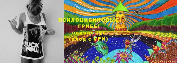 шишки Абаза