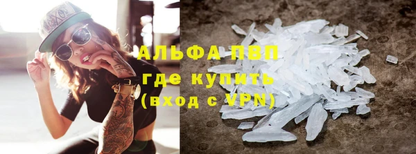 шишки Абаза