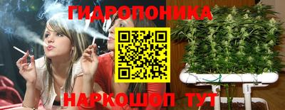 хмурый Гусь-Хрустальный