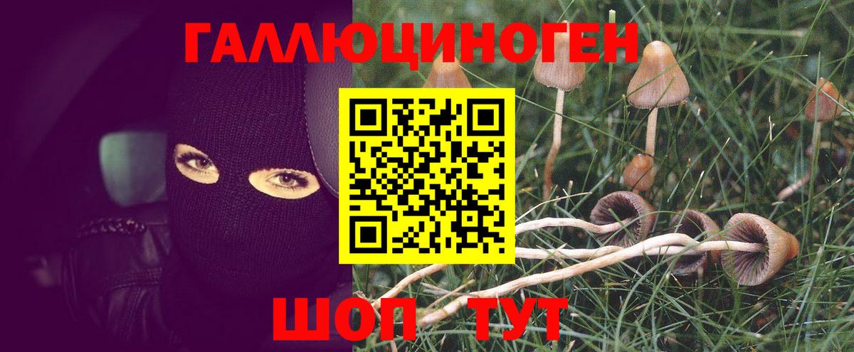 Псилоцибиновые грибы GOLDEN TEACHER Зеленокумск
