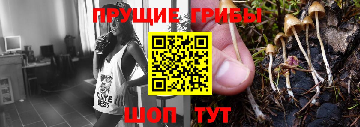 Галлюциногенные грибы Cubensis  Вход с VPN  Зеленокумск 